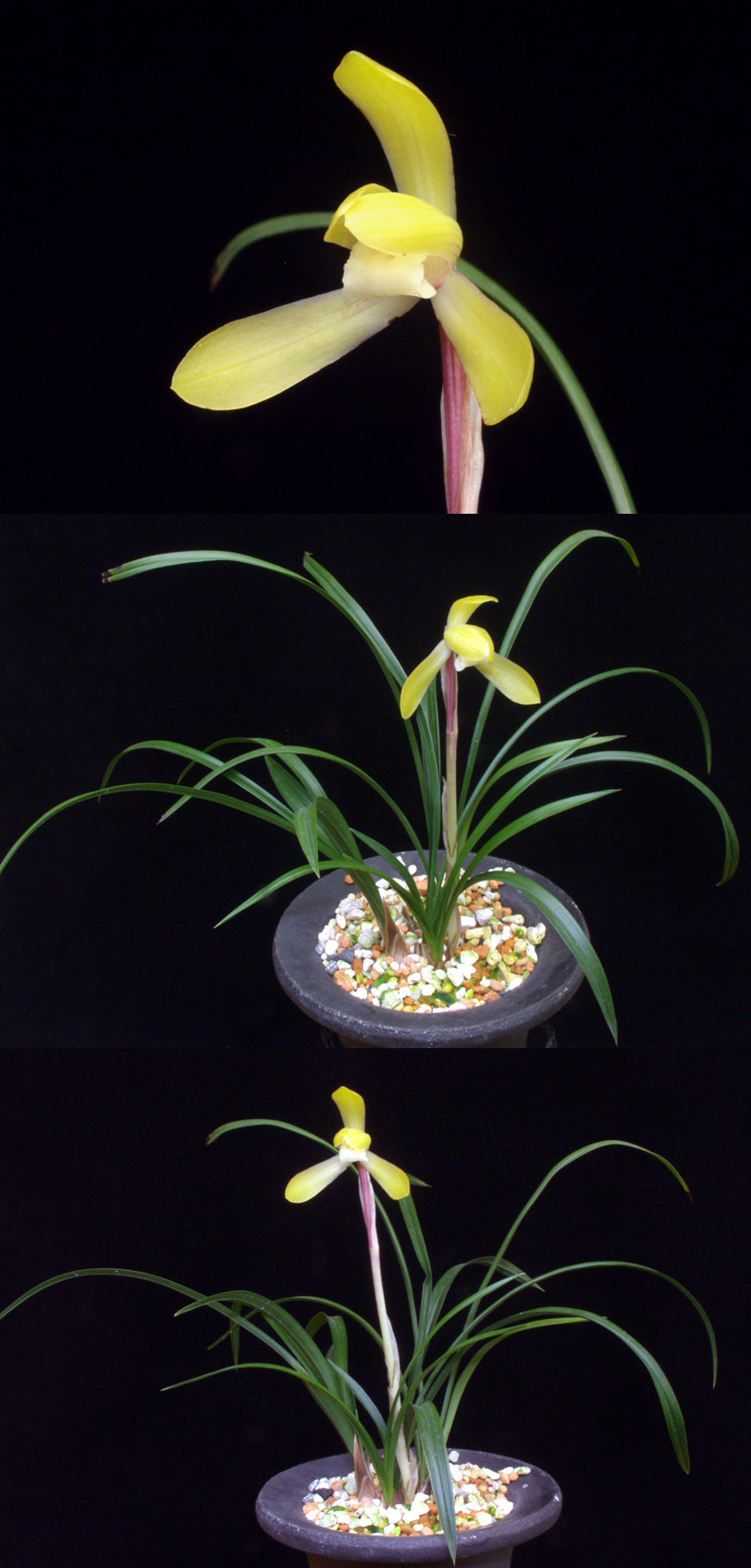 ������ ū������ �� �� �ֽ��ϴ�.