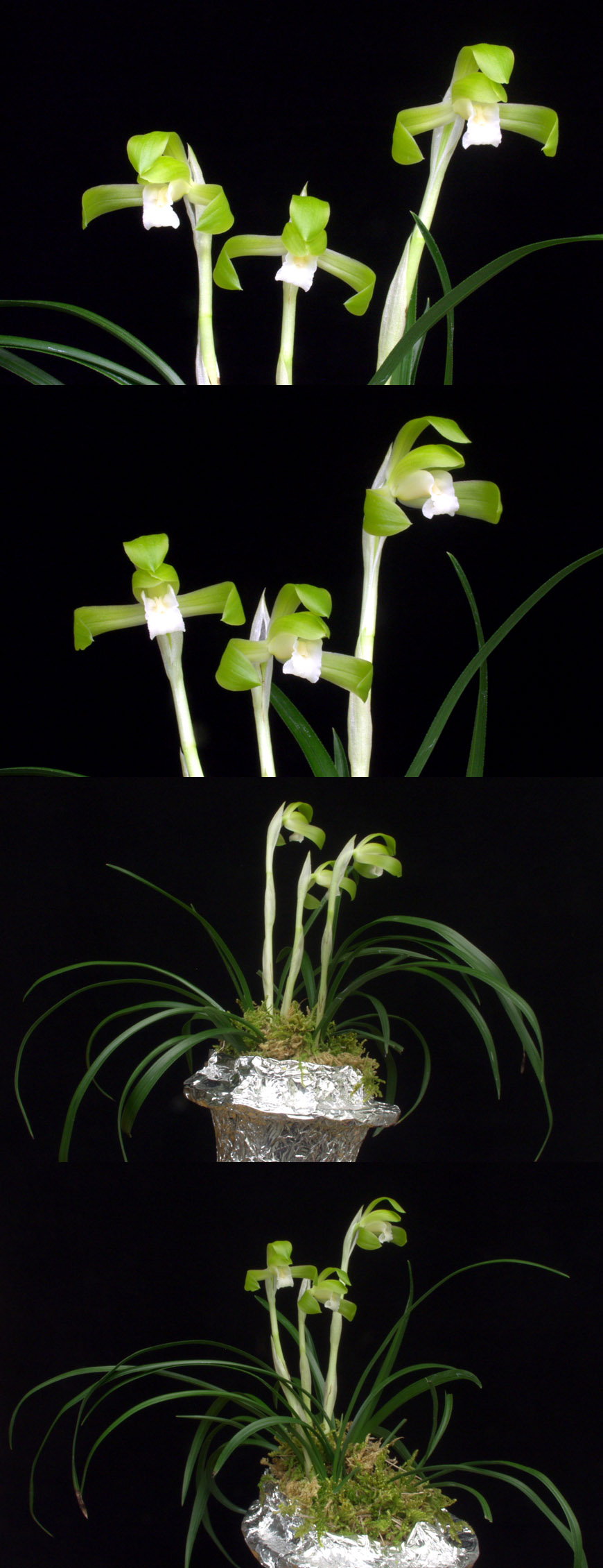 ������ ū������ �� �� �ֽ��ϴ�.