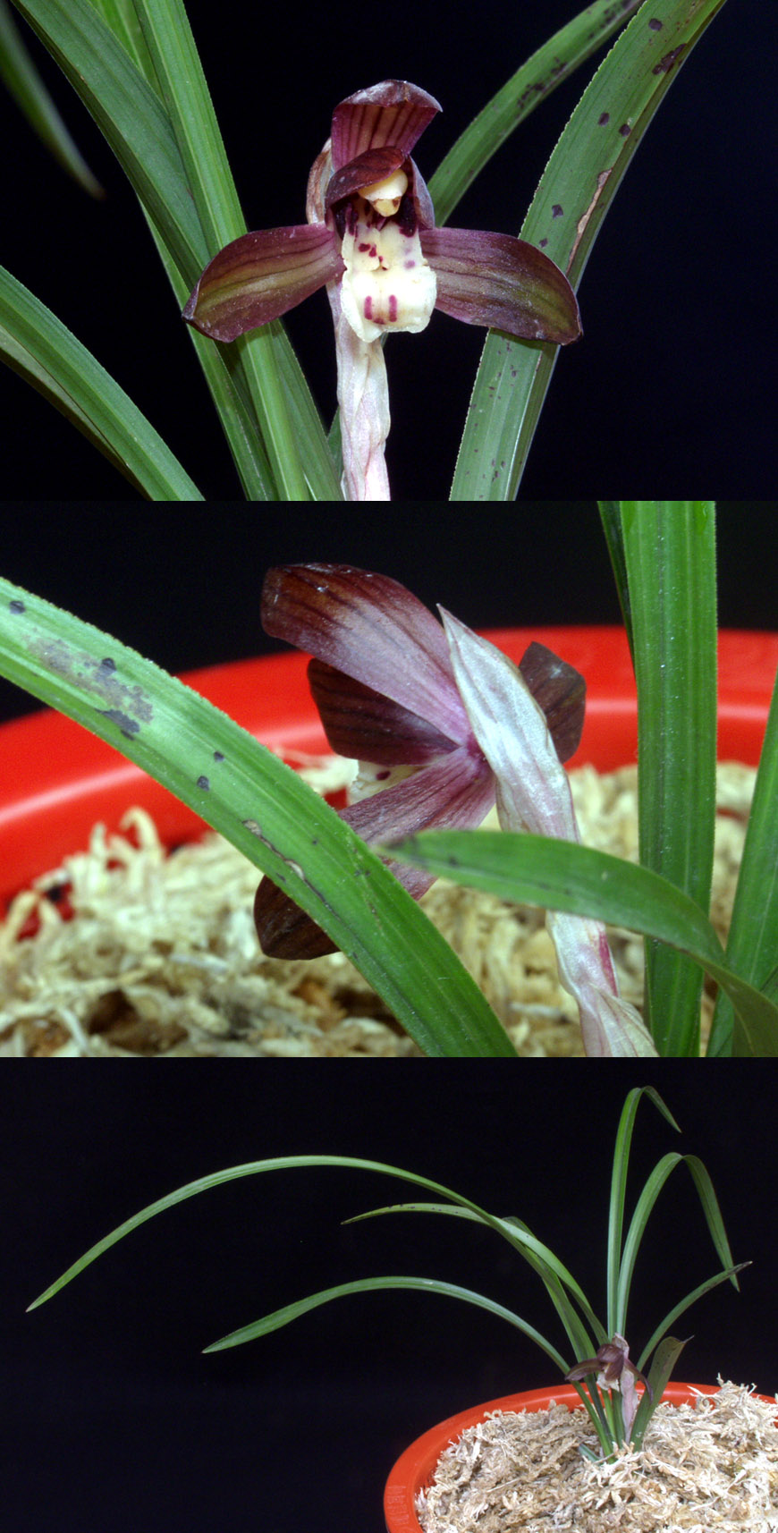 ������ ū������ �� �� �ֽ��ϴ�.