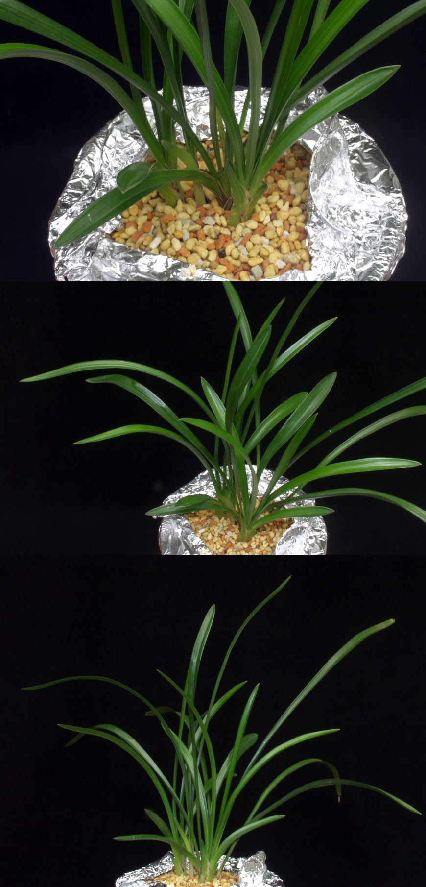 ������ ū������ �� �� �ֽ��ϴ�.