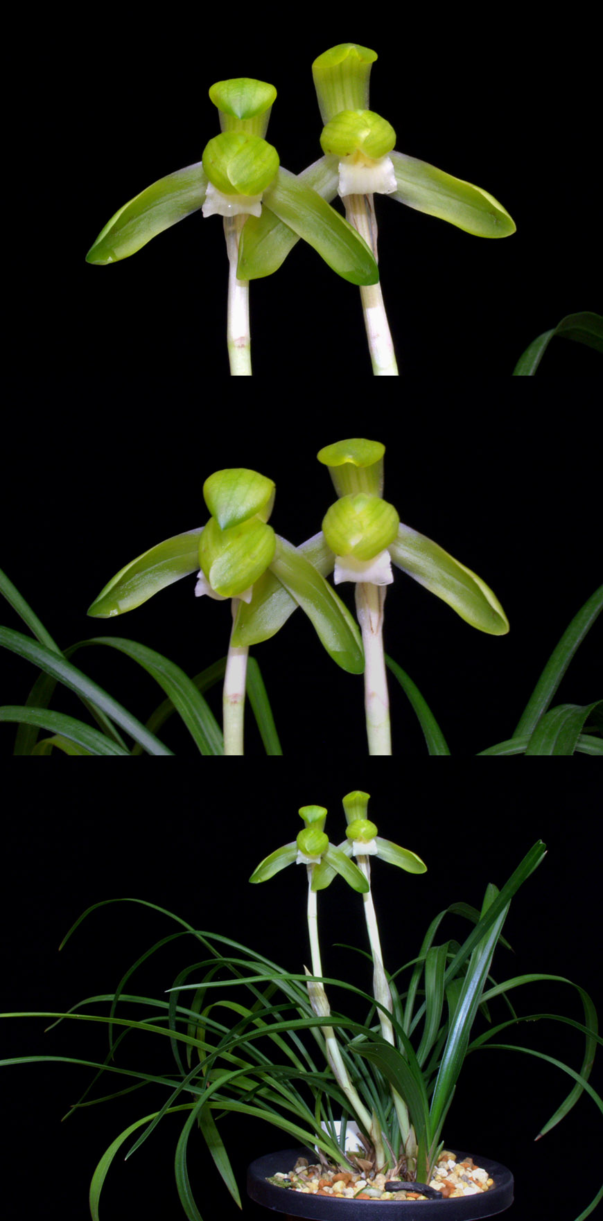 ������ ū������ �� �� �ֽ��ϴ�.