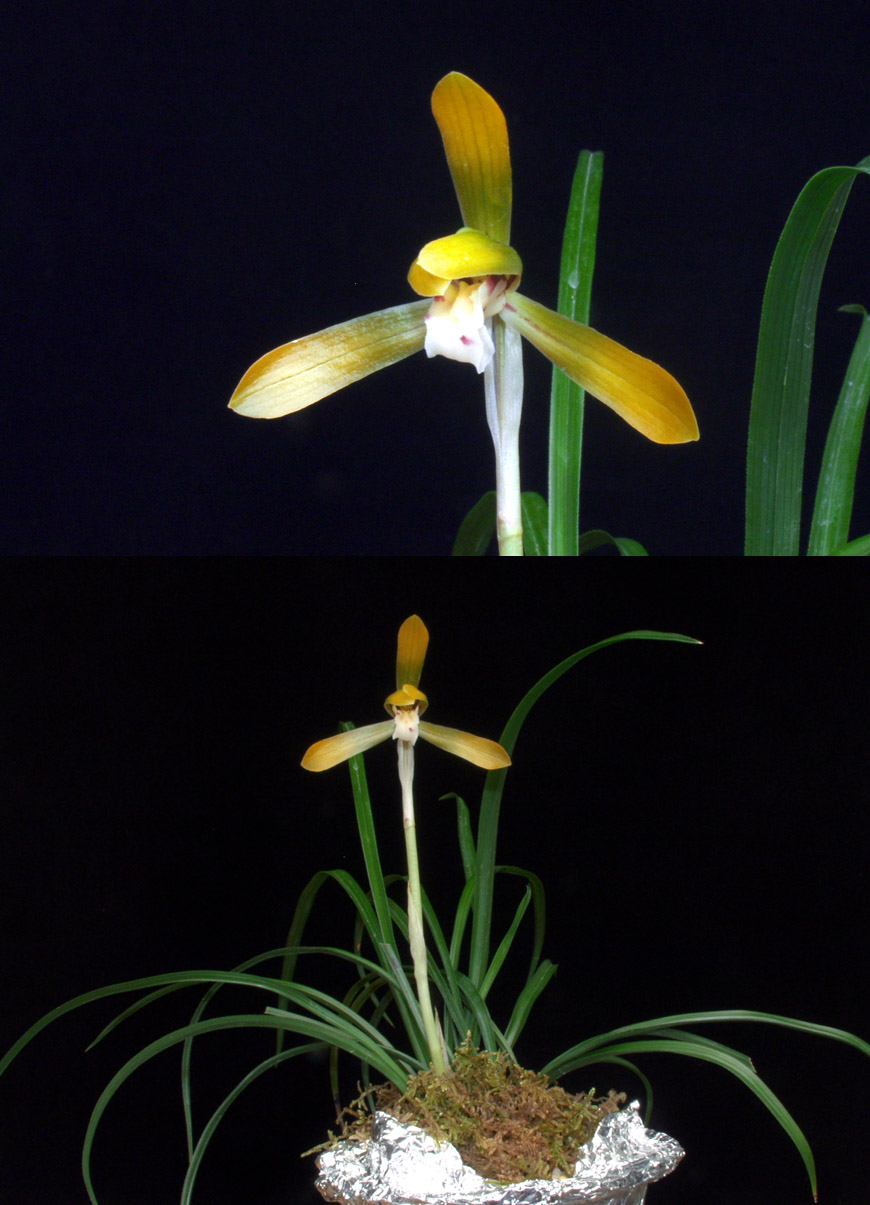 ������ ū������ �� �� �ֽ��ϴ�.