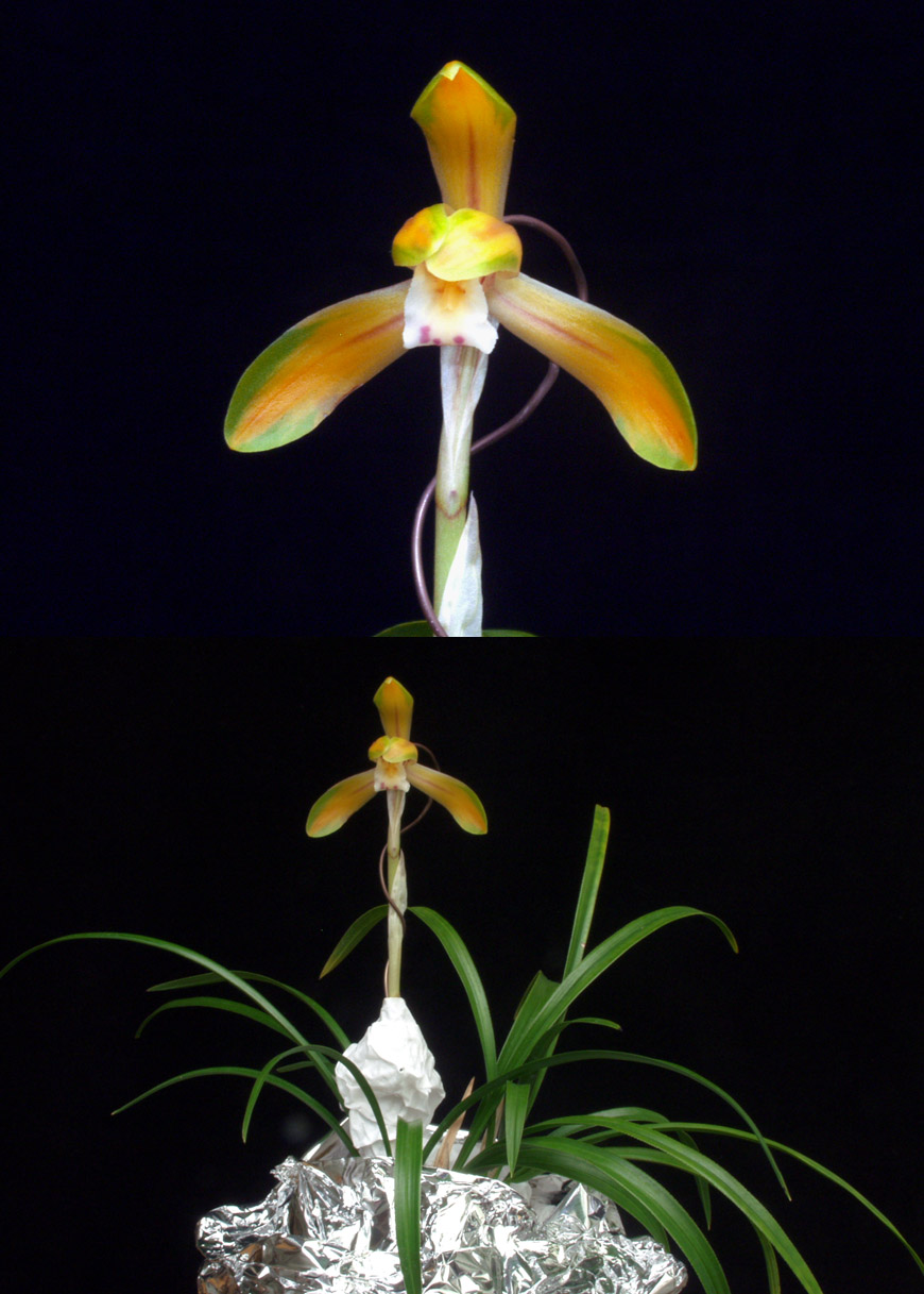 ������ ū������ �� �� �ֽ��ϴ�.