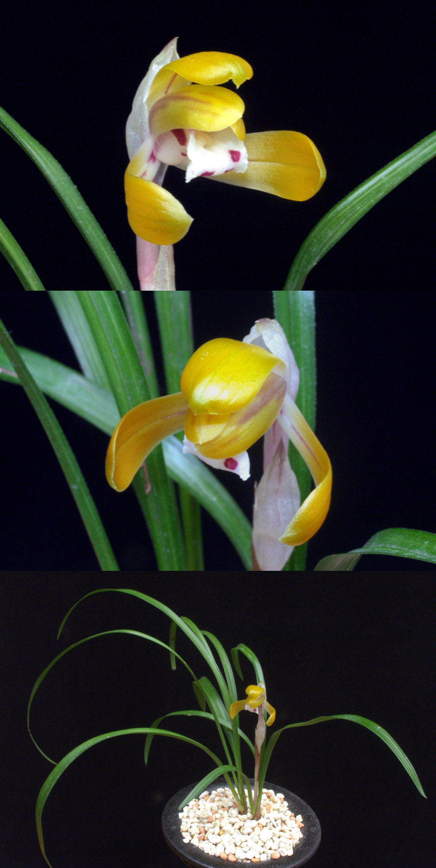 ������ ū������ �� �� �ֽ��ϴ�.