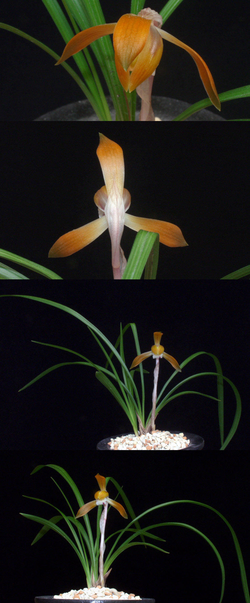 ������ ū������ �� �� �ֽ��ϴ�.