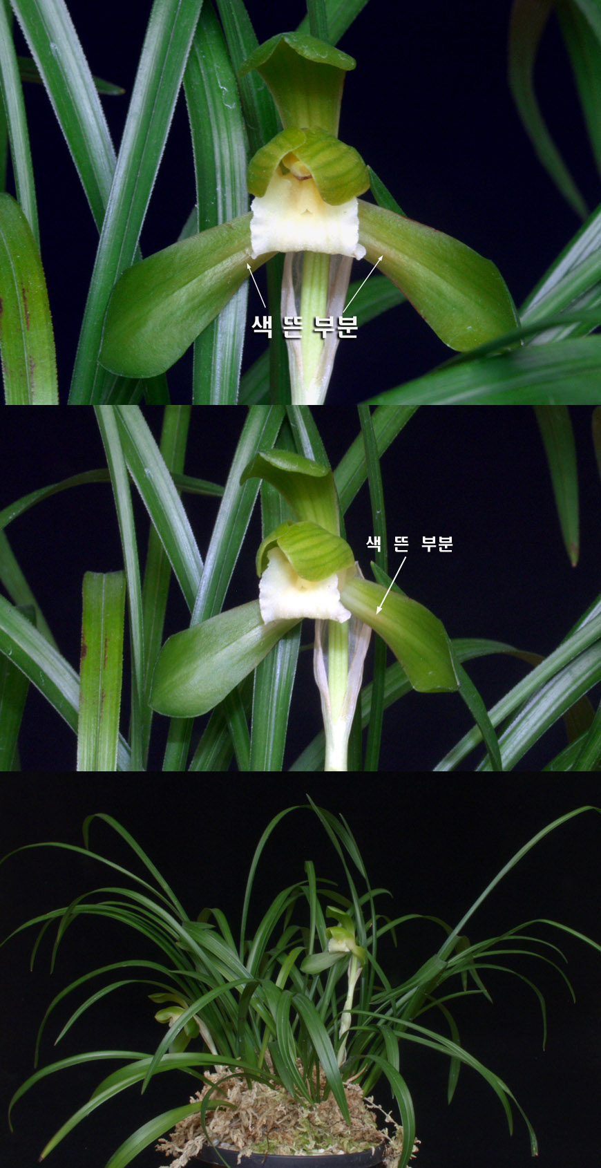 ������ ū������ �� �� �ֽ��ϴ�.