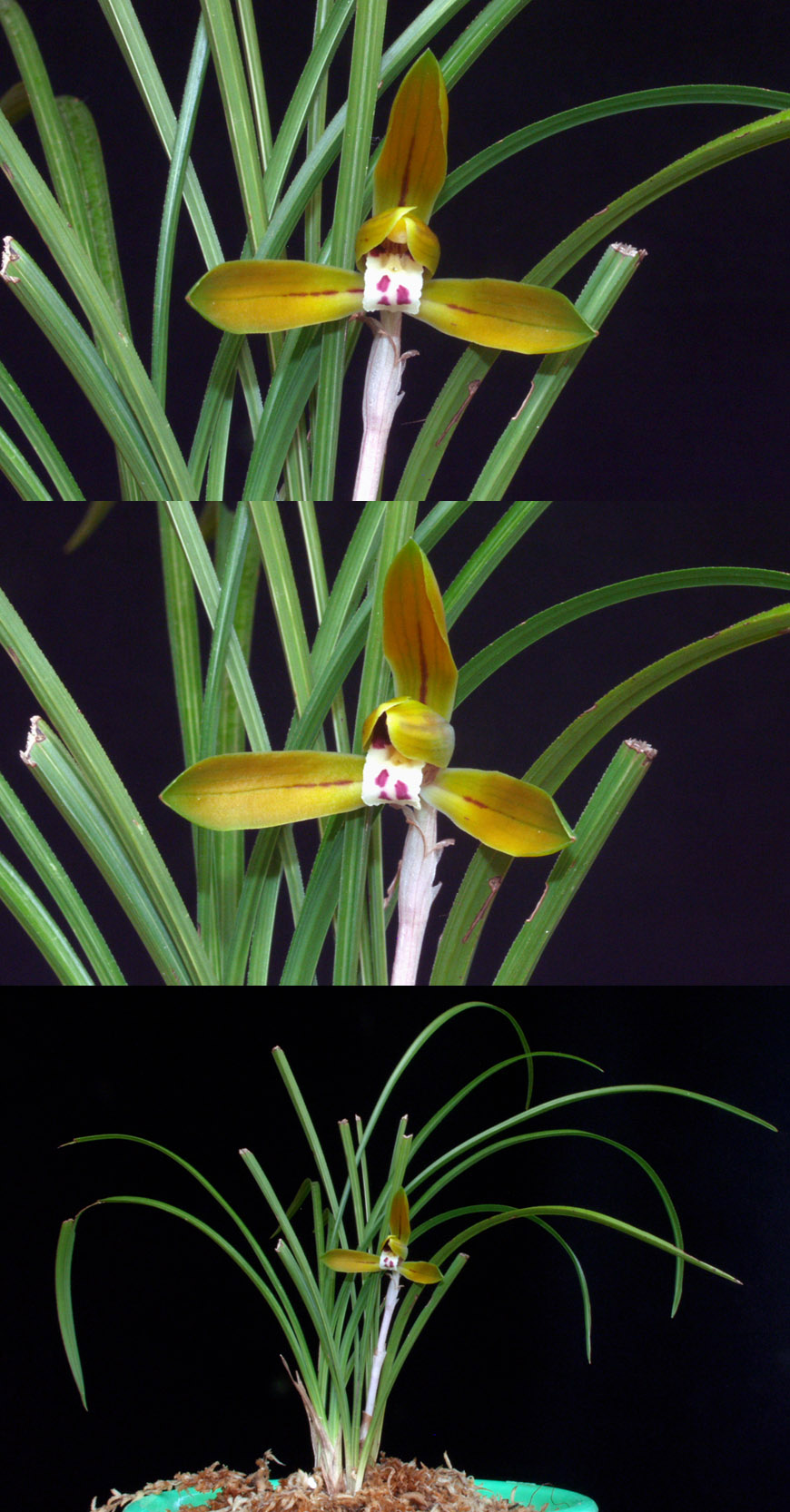 ������ ū������ �� �� �ֽ��ϴ�.