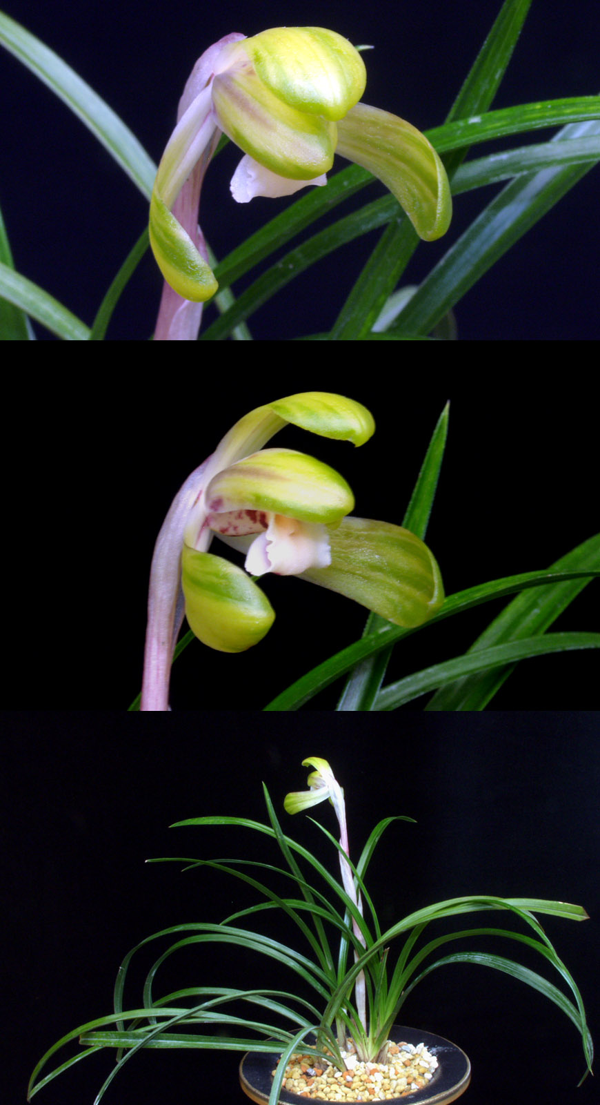 ������ ū������ �� �� �ֽ��ϴ�.