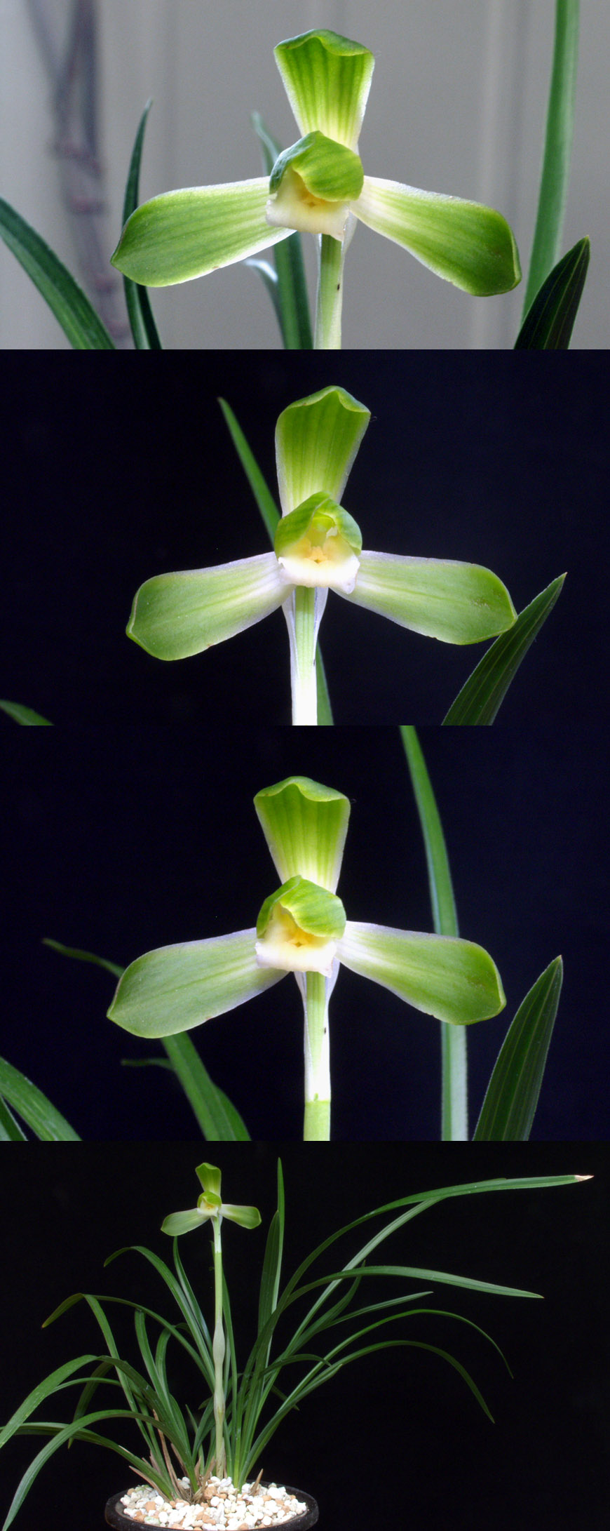 ������ ū������ �� �� �ֽ��ϴ�.