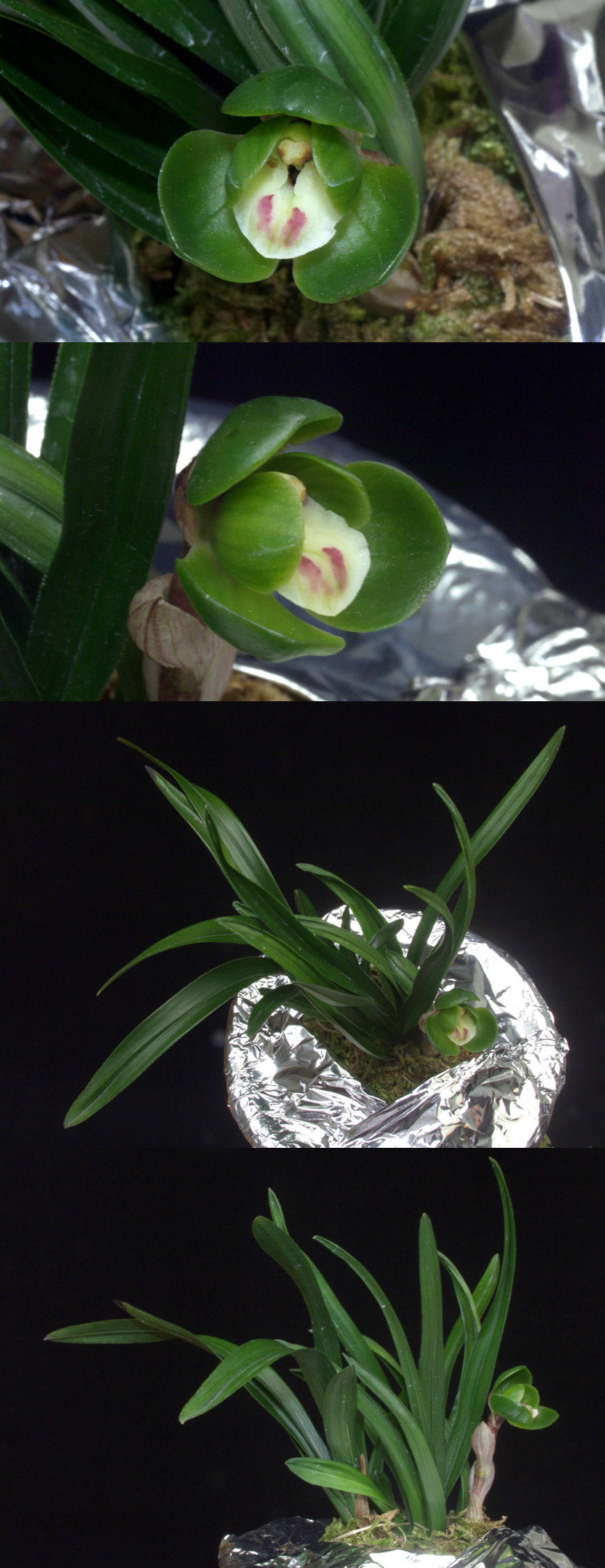 ������ ū������ �� �� �ֽ��ϴ�.