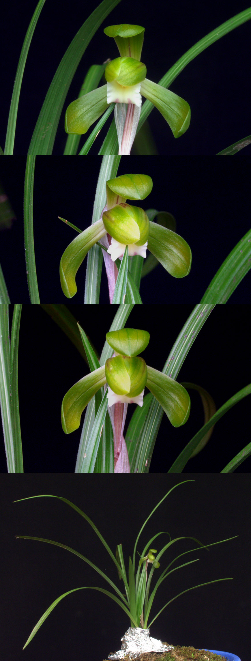 ������ ū������ �� �� �ֽ��ϴ�.