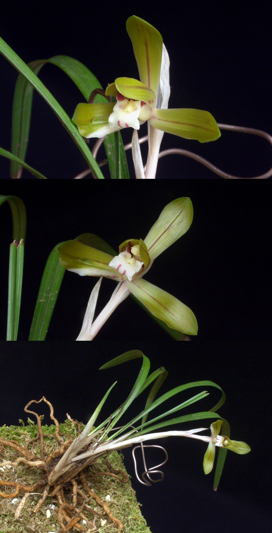 ������ ū������ �� �� �ֽ��ϴ�.