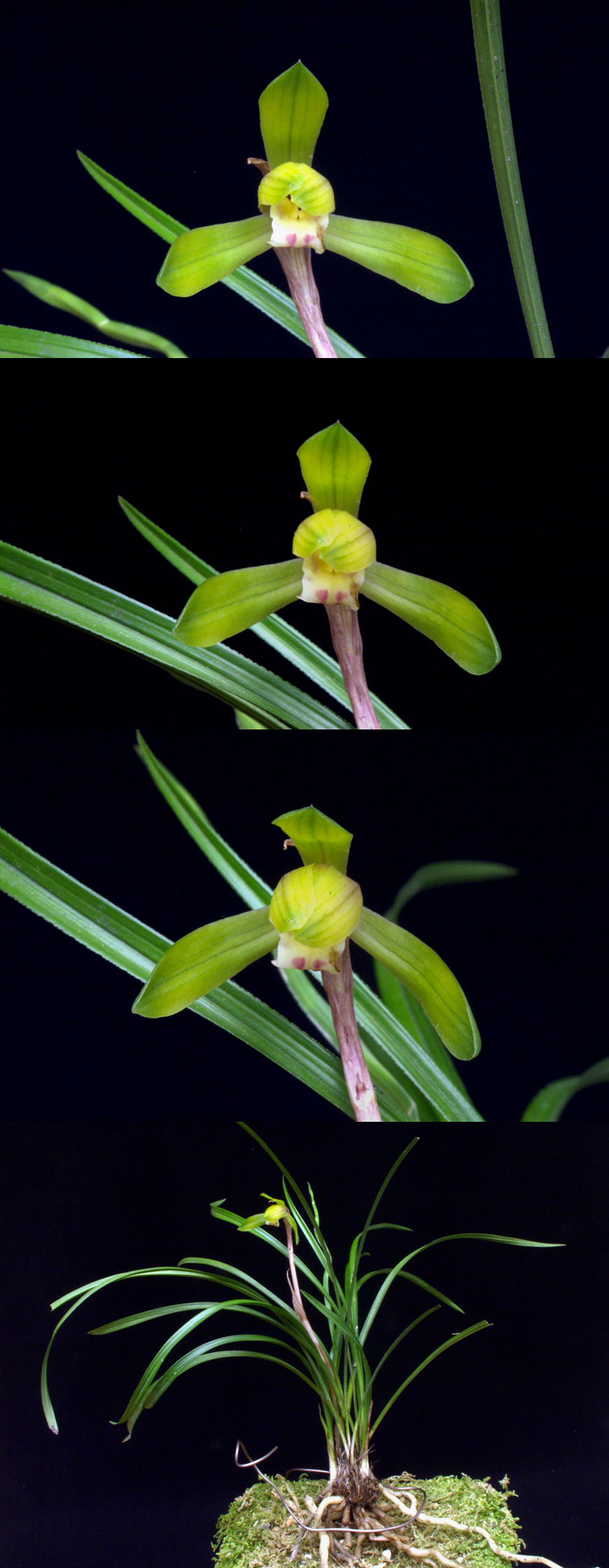 ������ ū������ �� �� �ֽ��ϴ�.