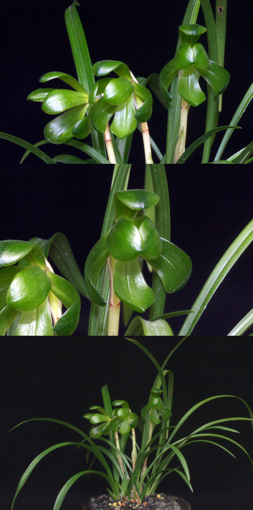 ������ ū������ �� �� �ֽ��ϴ�.