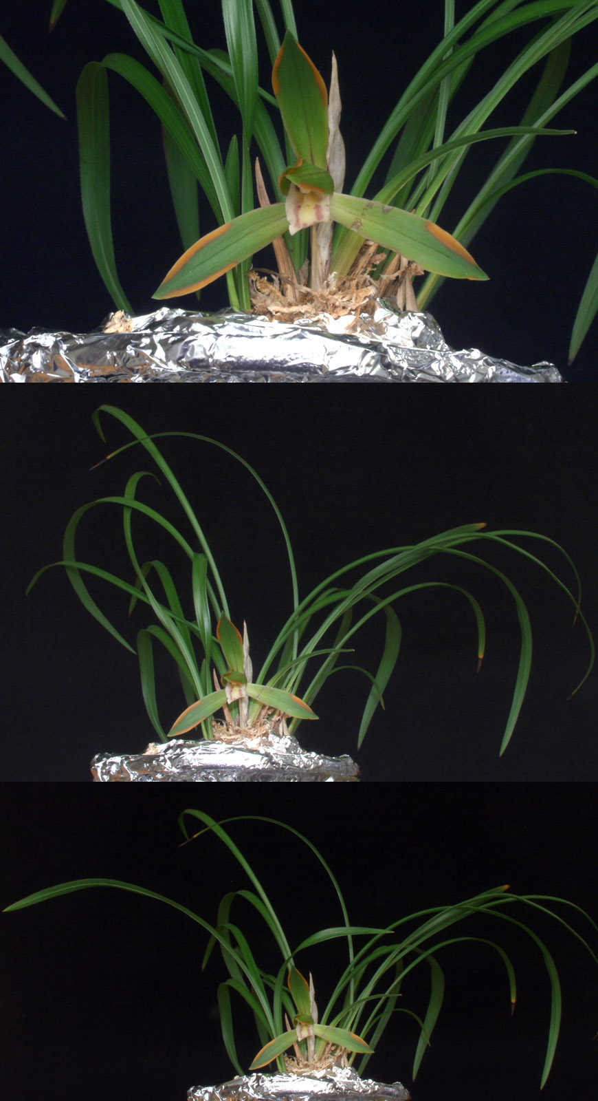 ������ ū������ �� �� �ֽ��ϴ�.