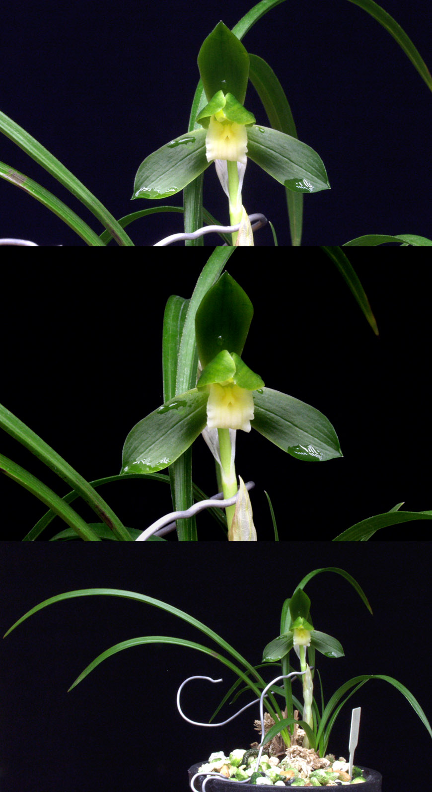 ������ ū������ �� �� �ֽ��ϴ�.