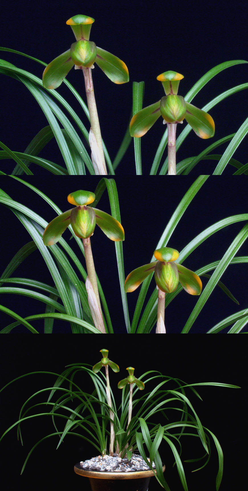 ������ ū������ �� �� �ֽ��ϴ�.