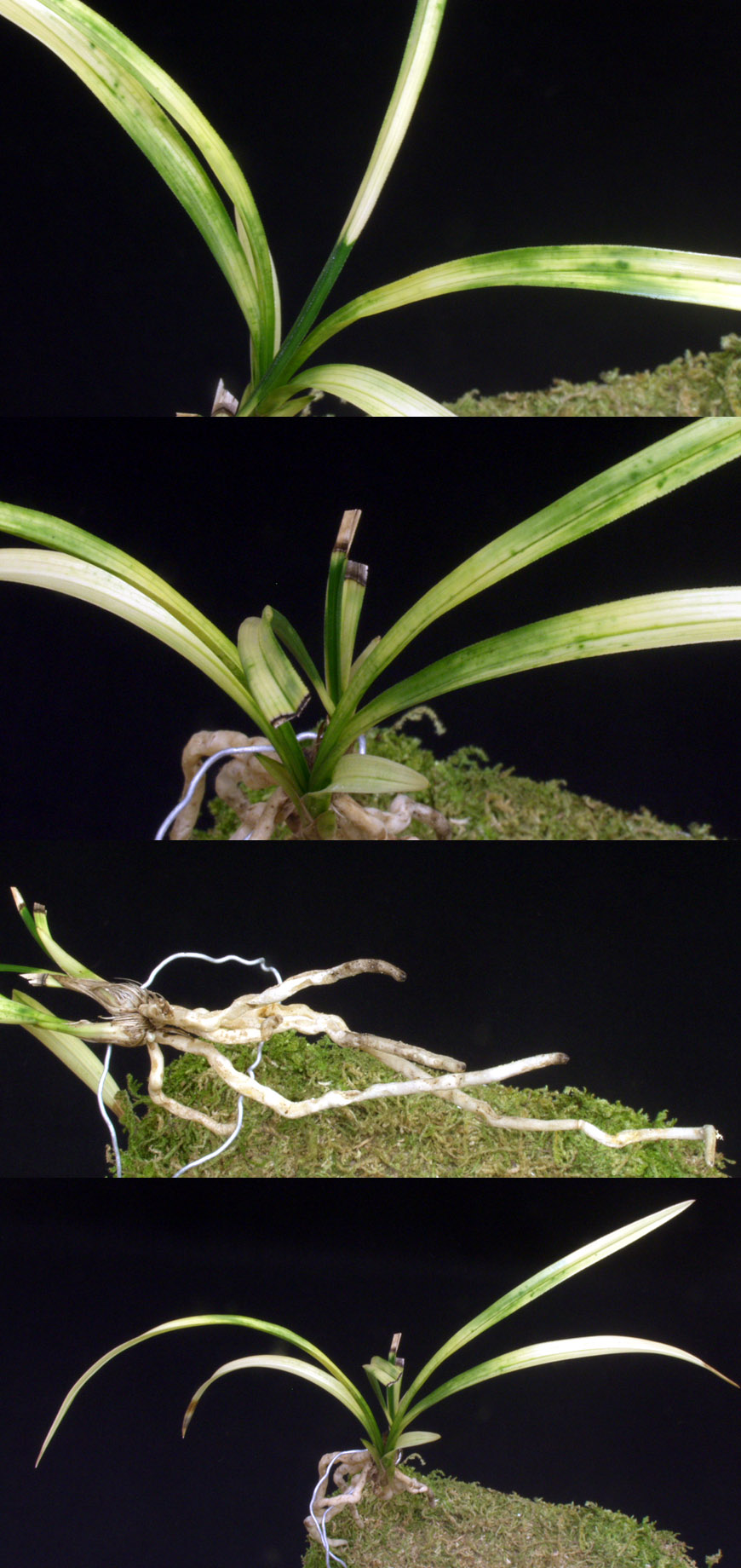 ������ ū������ �� �� �ֽ��ϴ�.