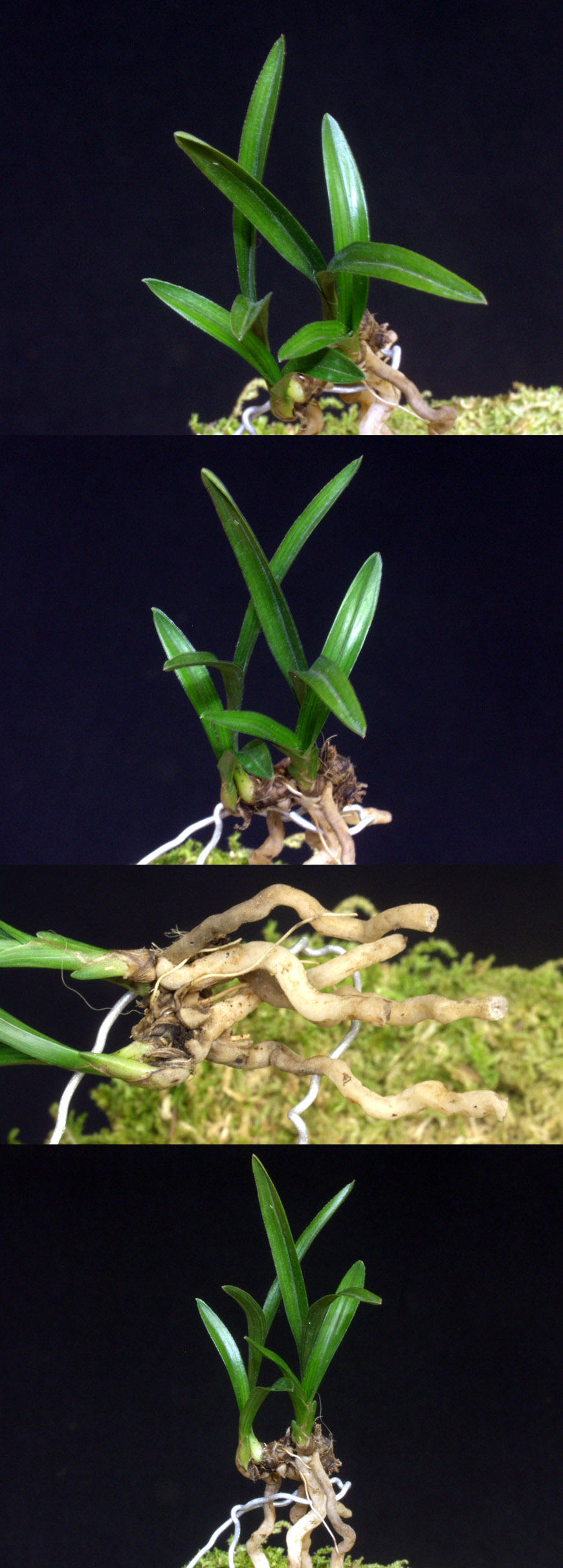 ������ ū������ �� �� �ֽ��ϴ�.