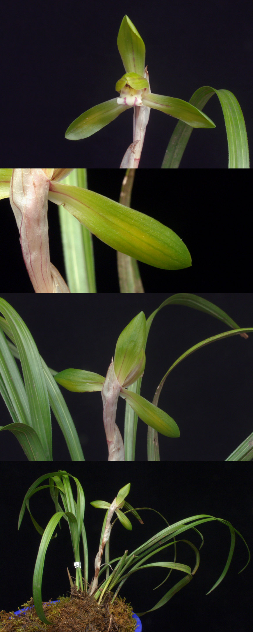 ������ ū������ �� �� �ֽ��ϴ�.