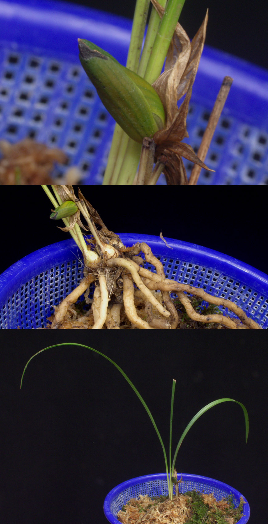 ������ ū������ �� �� �ֽ��ϴ�.