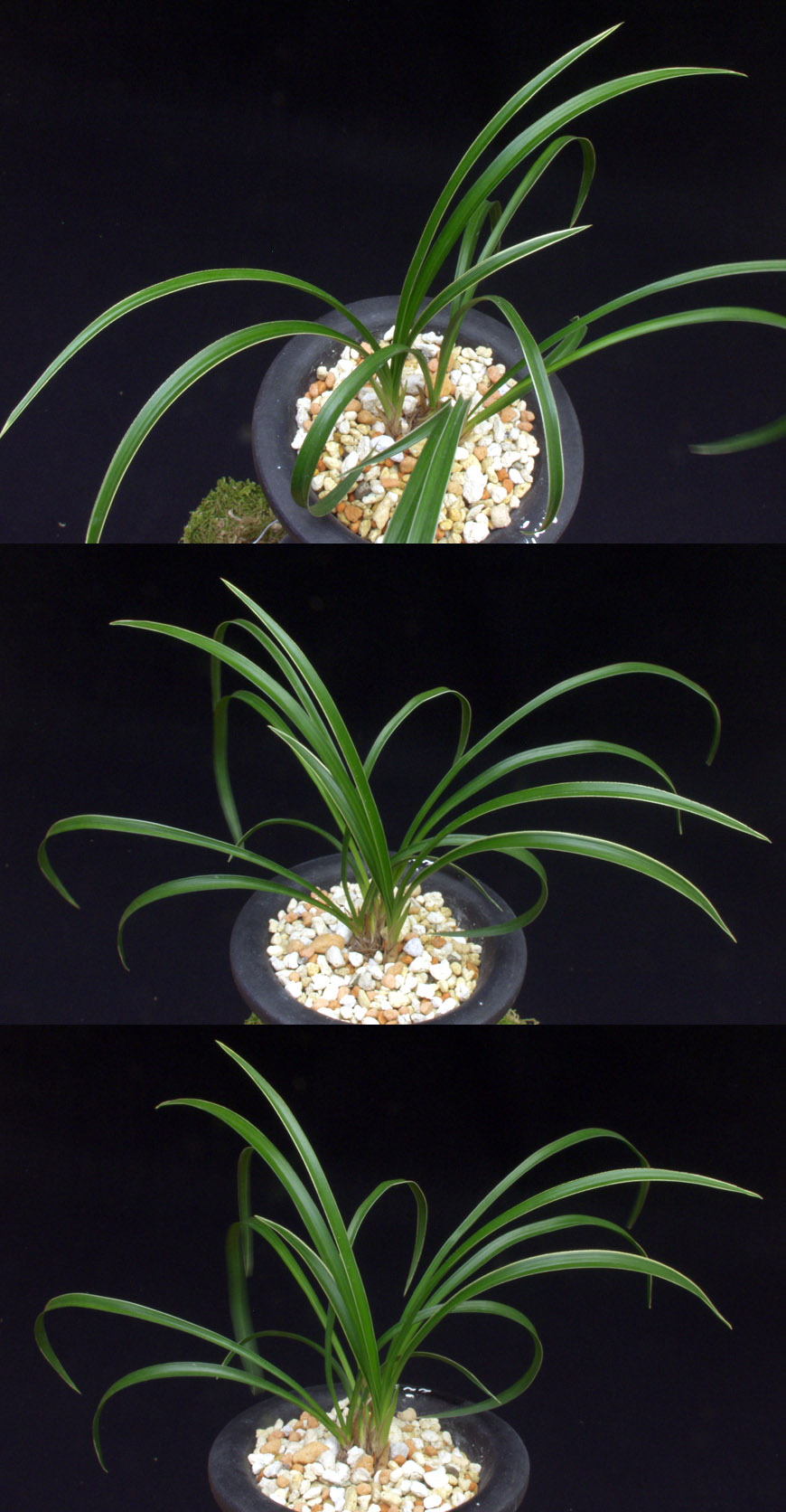 ������ ū������ �� �� �ֽ��ϴ�.