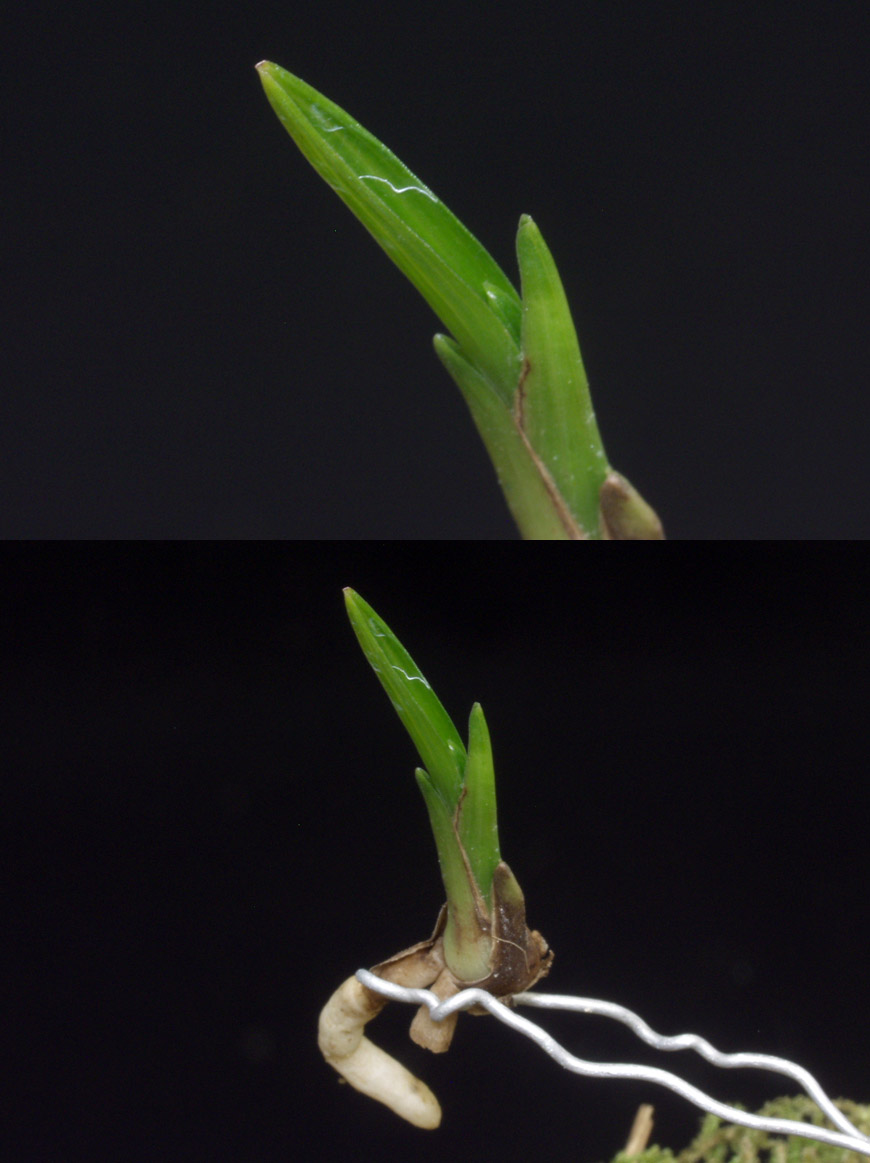 ������ ū������ �� �� �ֽ��ϴ�.