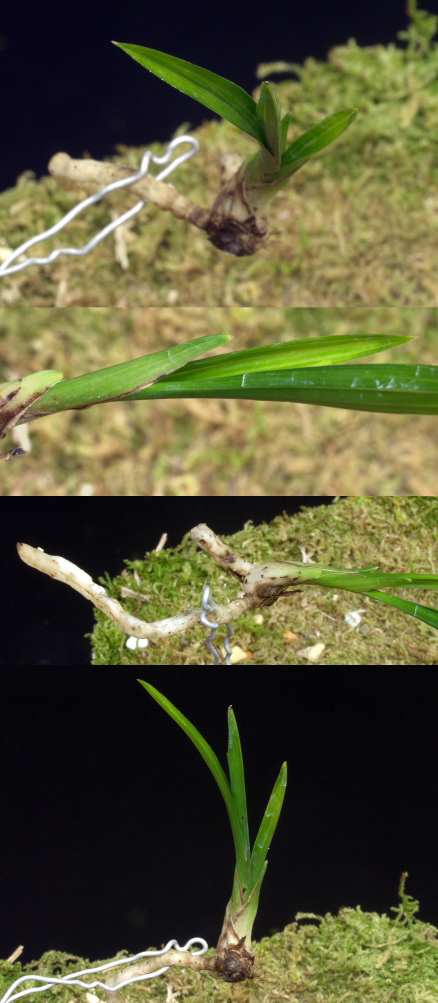 ������ ū������ �� �� �ֽ��ϴ�.