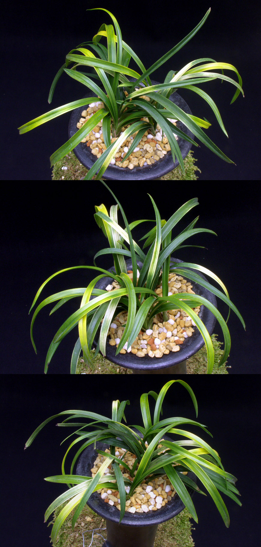 ������ ū������ �� �� �ֽ��ϴ�.