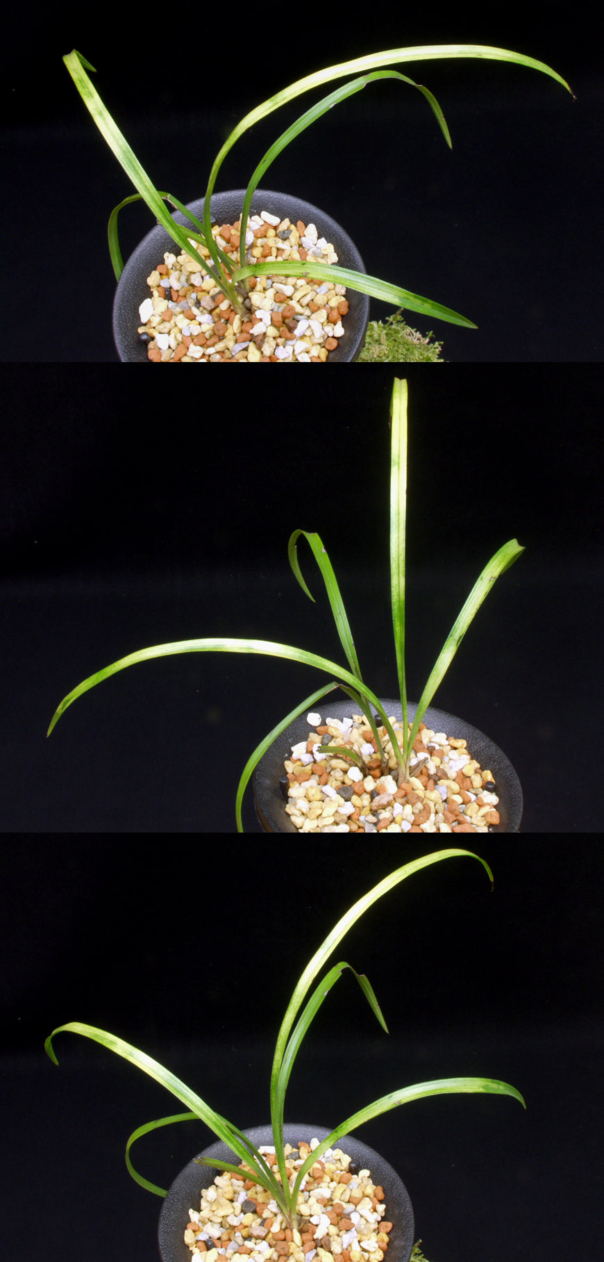 ������ ū������ �� �� �ֽ��ϴ�.