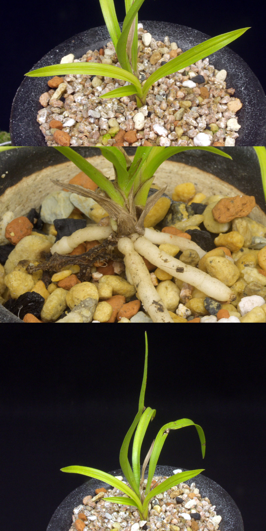 ������ ū������ �� �� �ֽ��ϴ�.