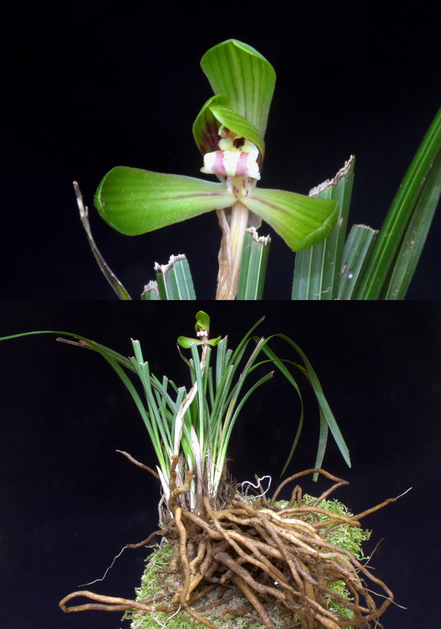 ������ ū������ �� �� �ֽ��ϴ�.