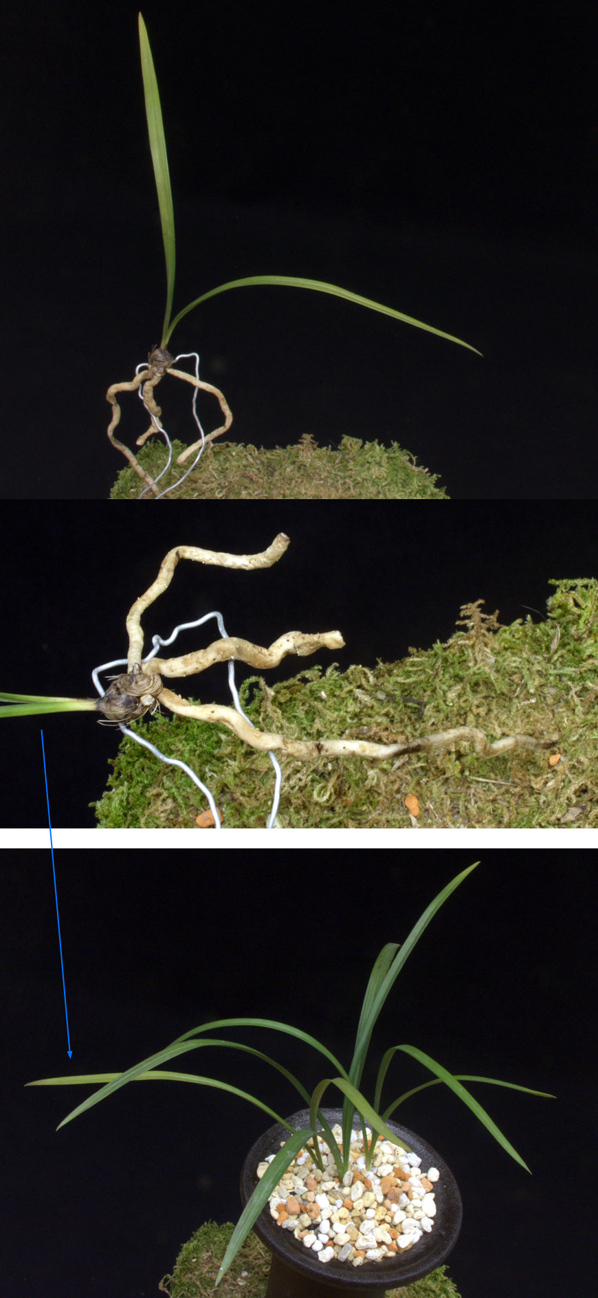 ������ ū������ �� �� �ֽ��ϴ�.