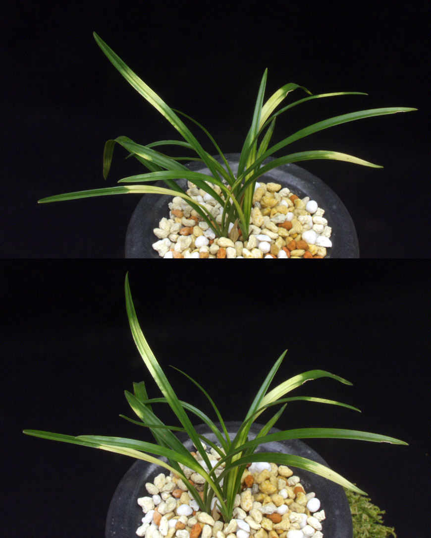 ������ ū������ �� �� �ֽ��ϴ�.