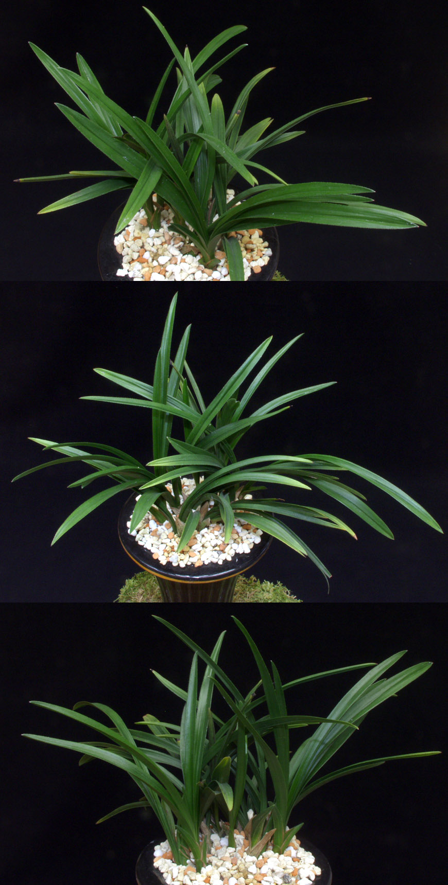 ������ ū������ �� �� �ֽ��ϴ�.