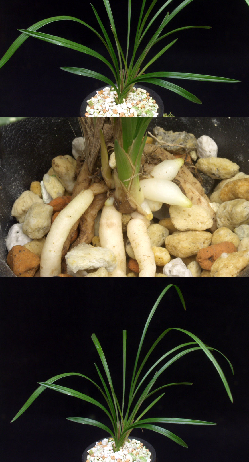 ������ ū������ �� �� �ֽ��ϴ�.