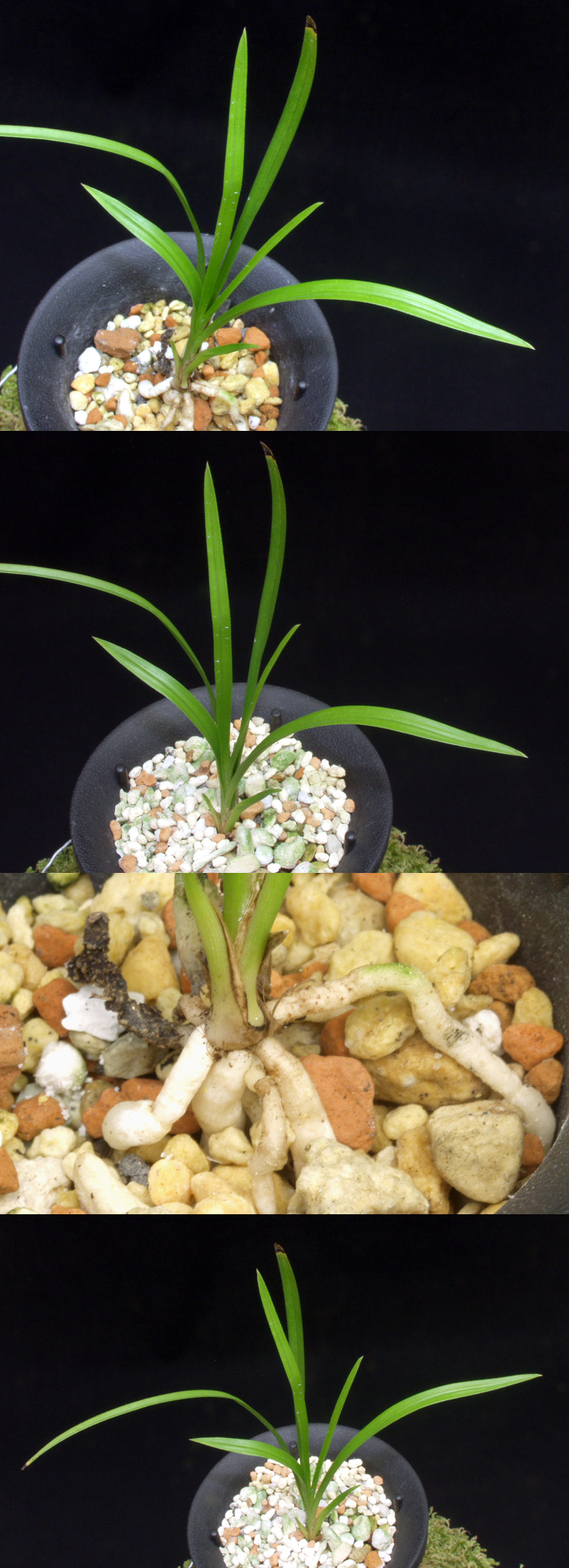 ������ ū������ �� �� �ֽ��ϴ�.