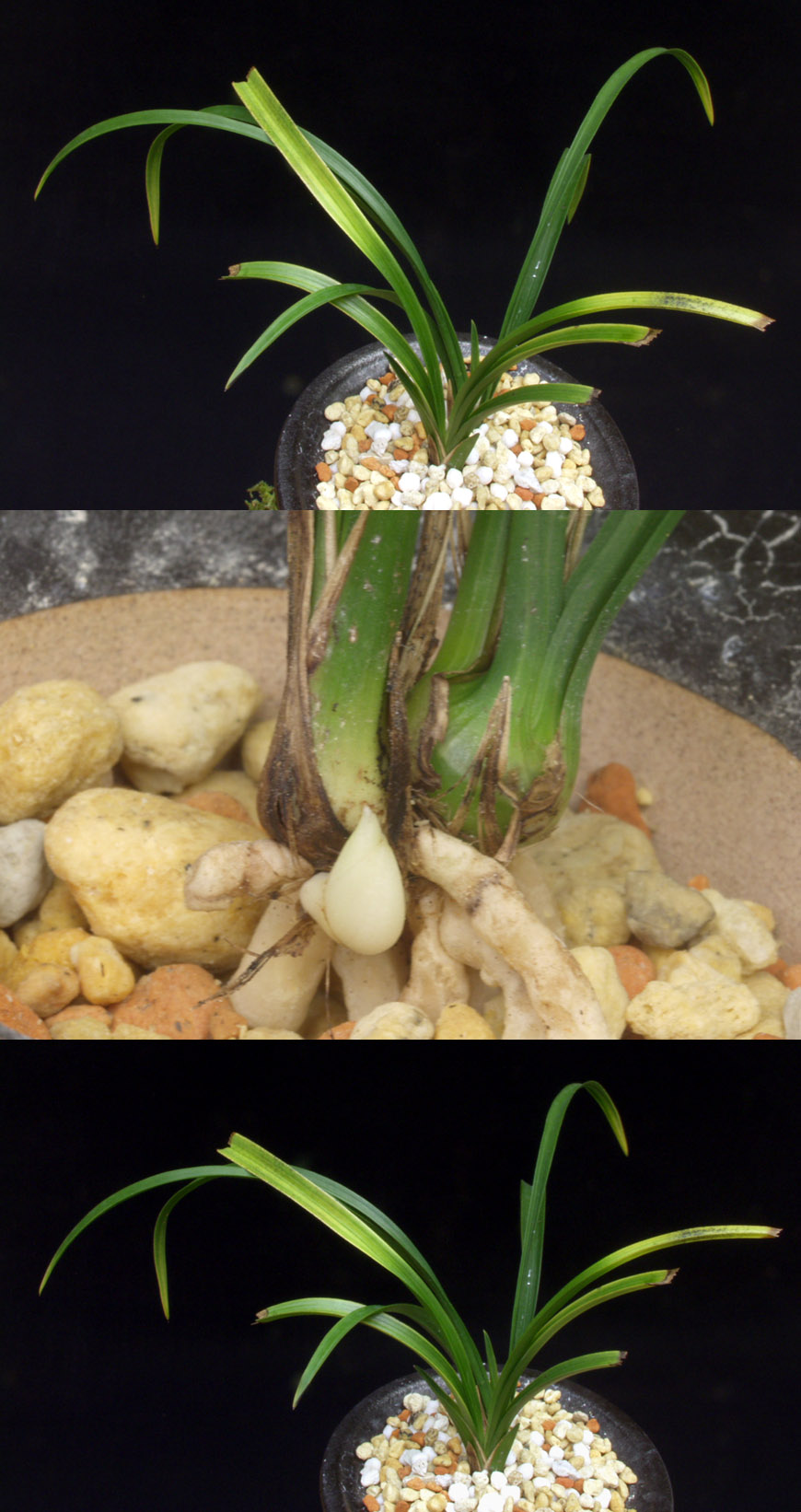 ������ ū������ �� �� �ֽ��ϴ�.