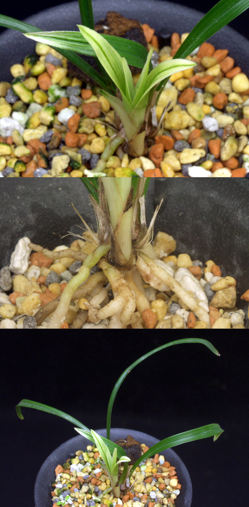 ������ ū������ �� �� �ֽ��ϴ�.