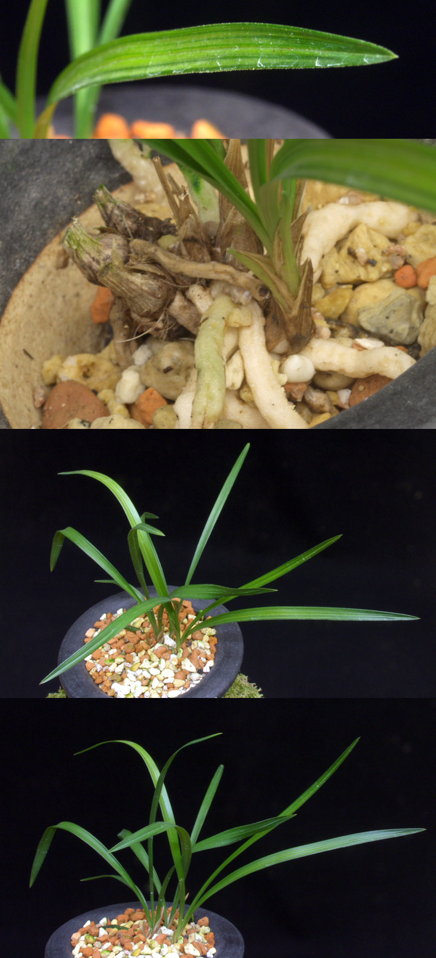 ������ ū������ �� �� �ֽ��ϴ�.