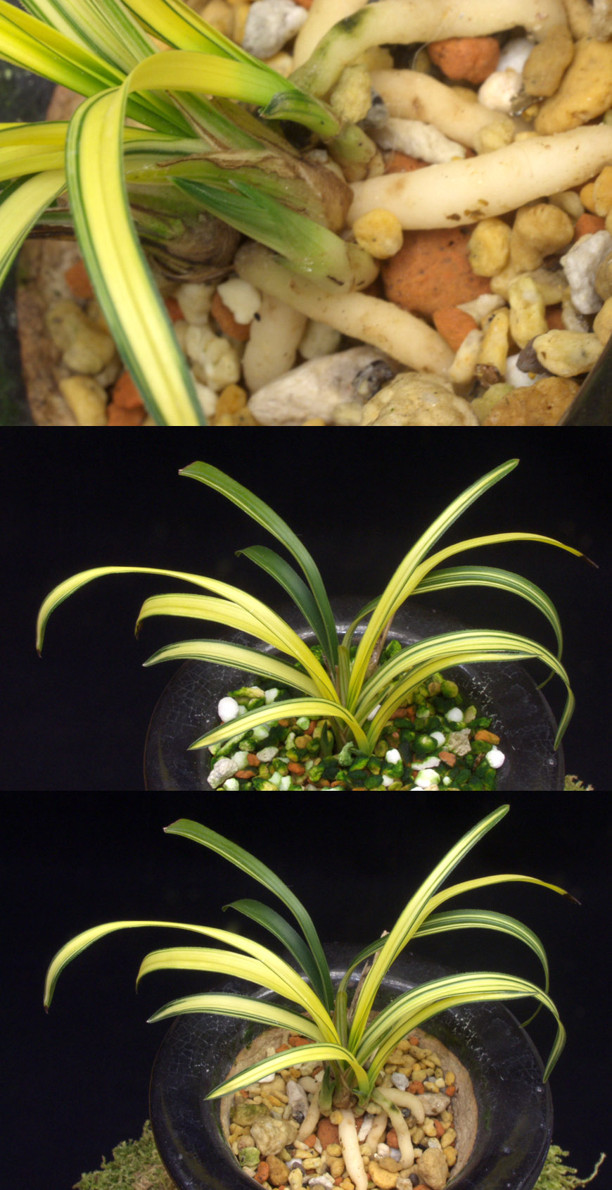 ������ ū������ �� �� �ֽ��ϴ�.