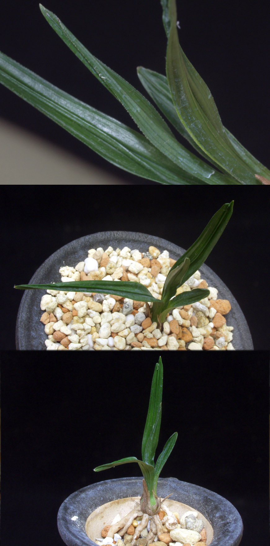 ������ ū������ �� �� �ֽ��ϴ�.