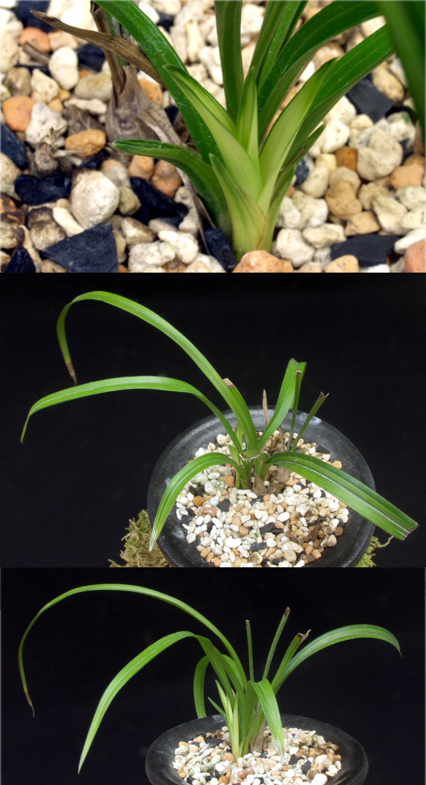 ������ ū������ �� �� �ֽ��ϴ�.