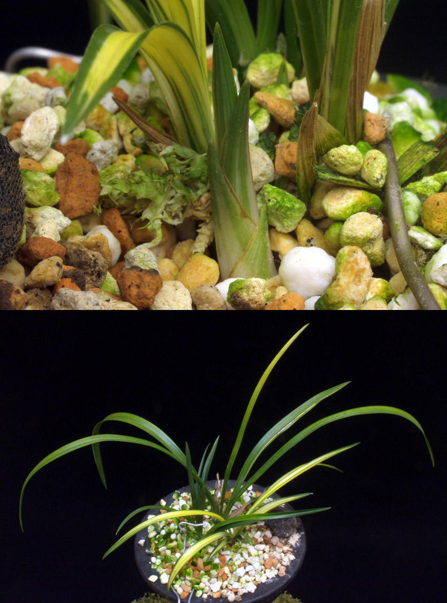 ������ ū������ �� �� �ֽ��ϴ�.