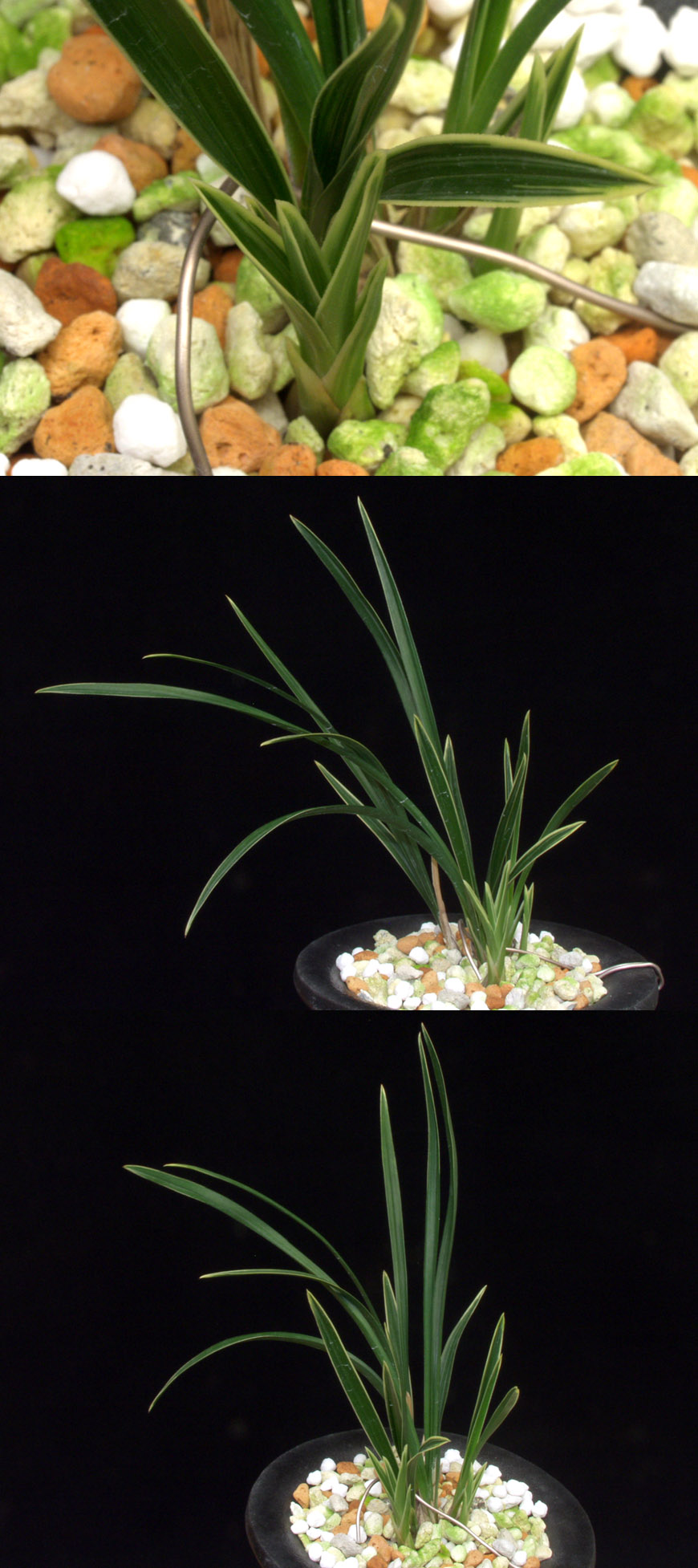 ������ ū������ �� �� �ֽ��ϴ�.