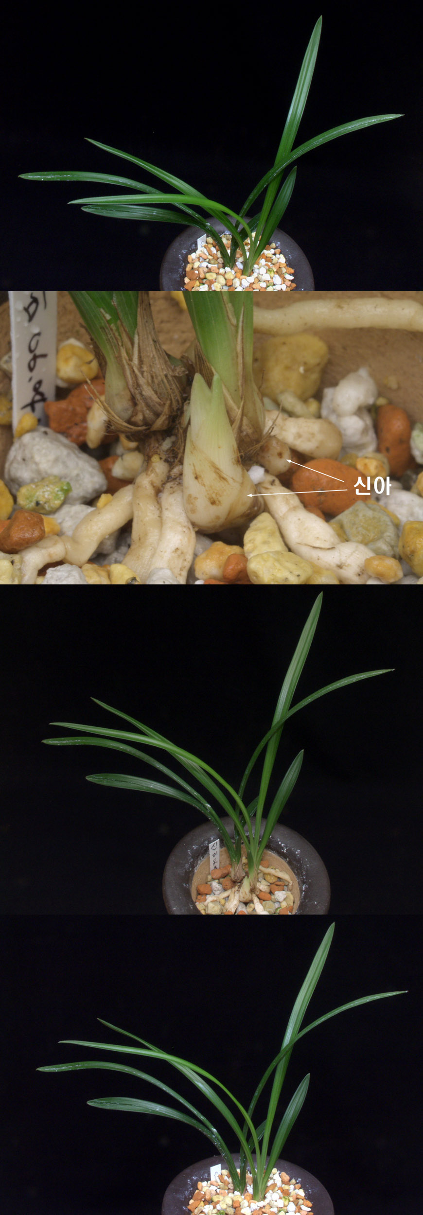 ������ ū������ �� �� �ֽ��ϴ�.