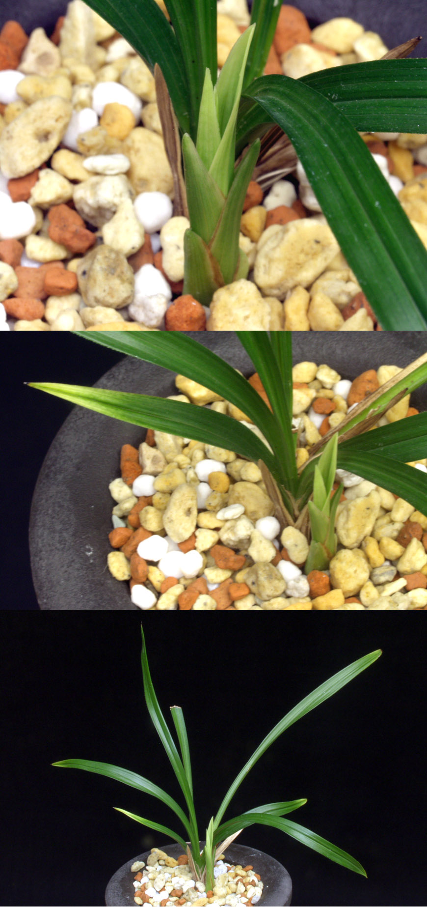 ������ ū������ �� �� �ֽ��ϴ�.