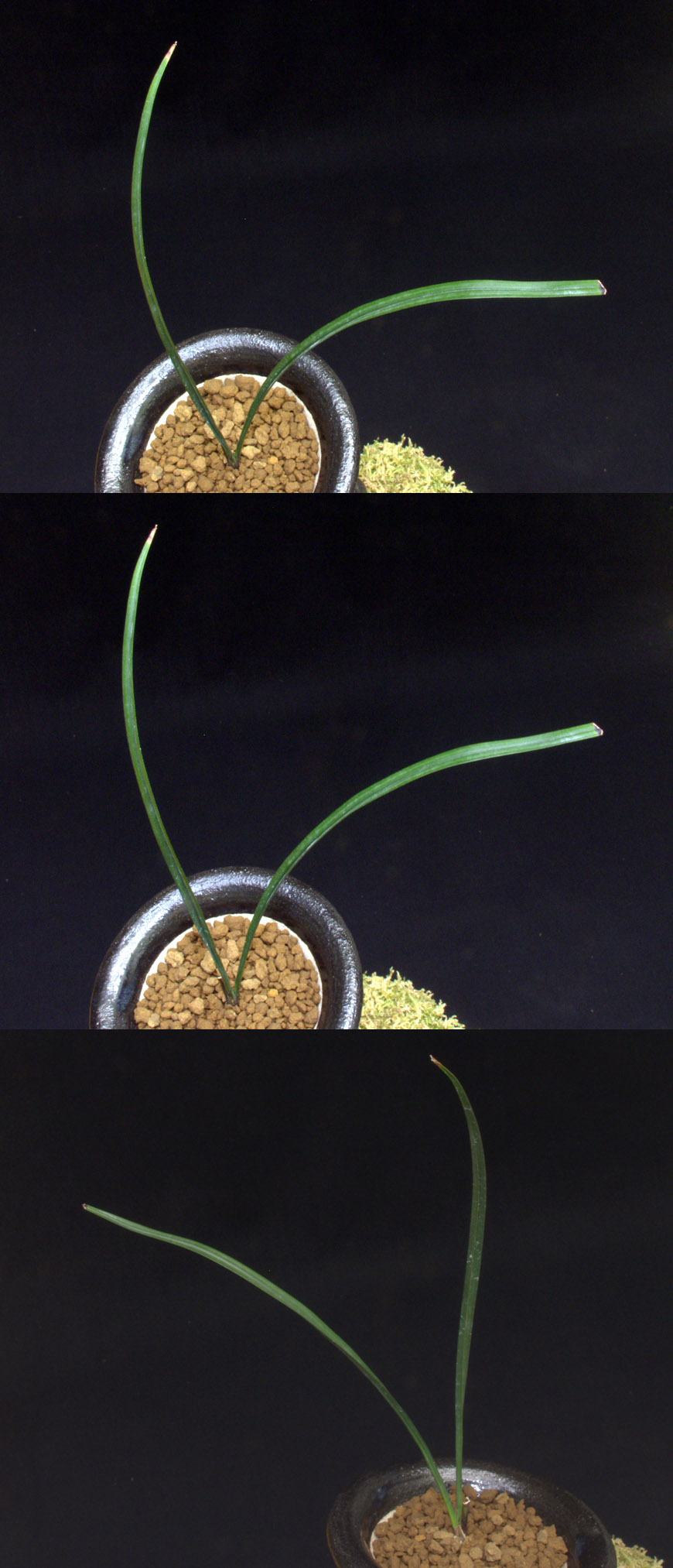 ������ ū������ �� �� �ֽ��ϴ�.