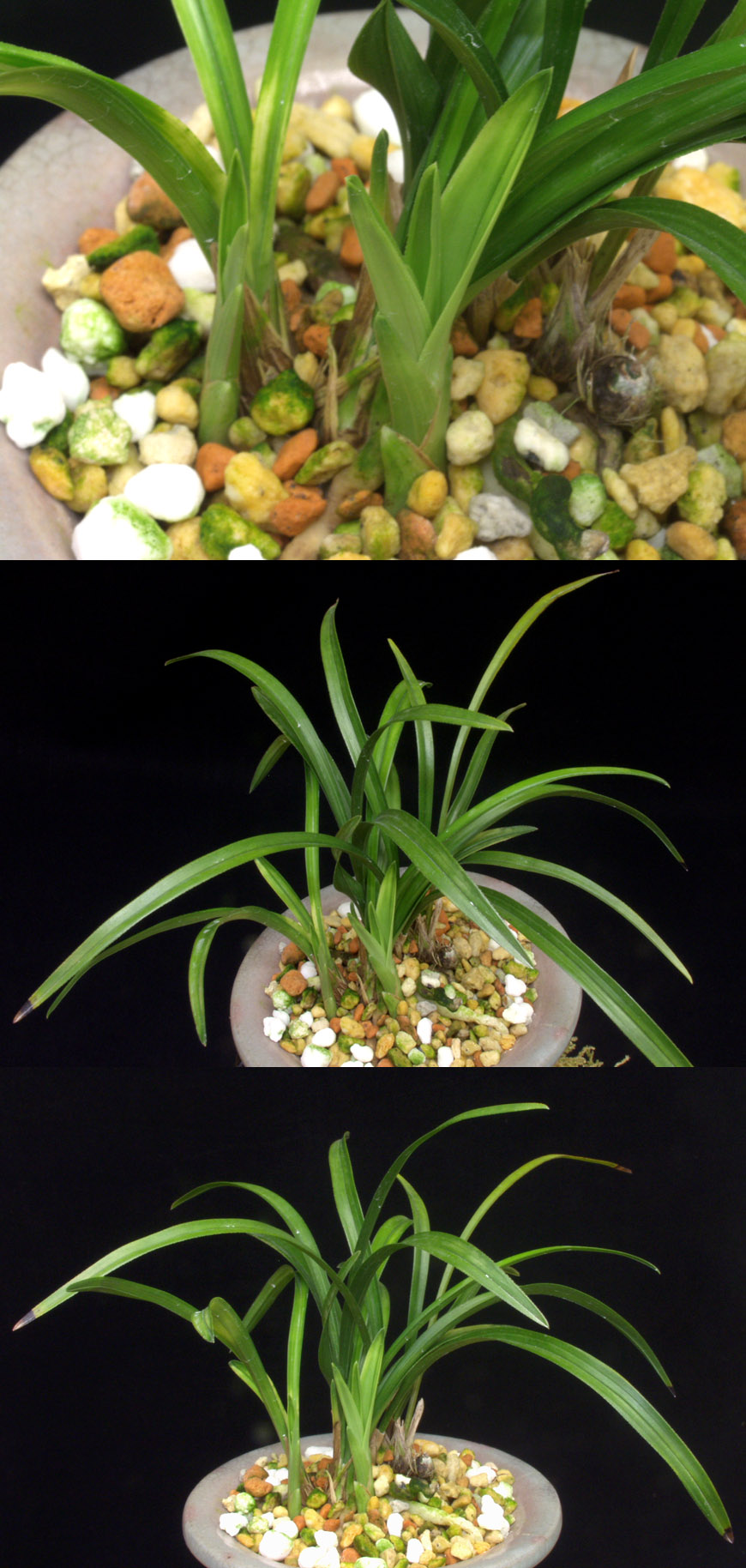 ������ ū������ �� �� �ֽ��ϴ�.