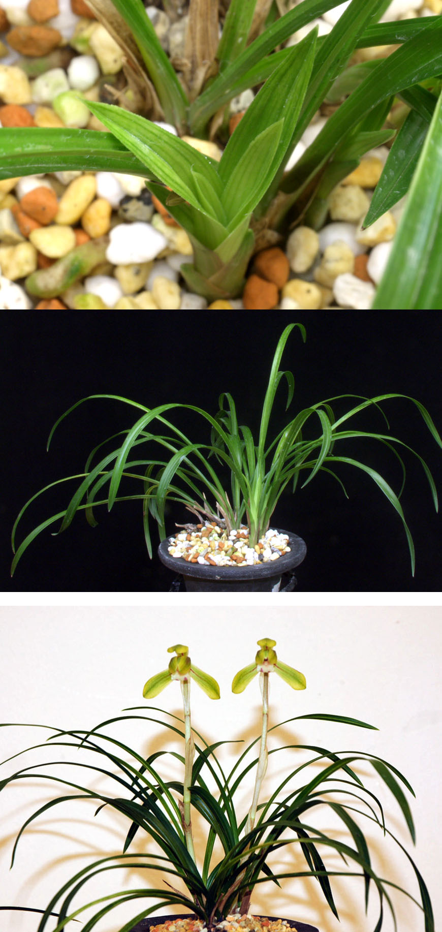 ������ ū������ �� �� �ֽ��ϴ�.